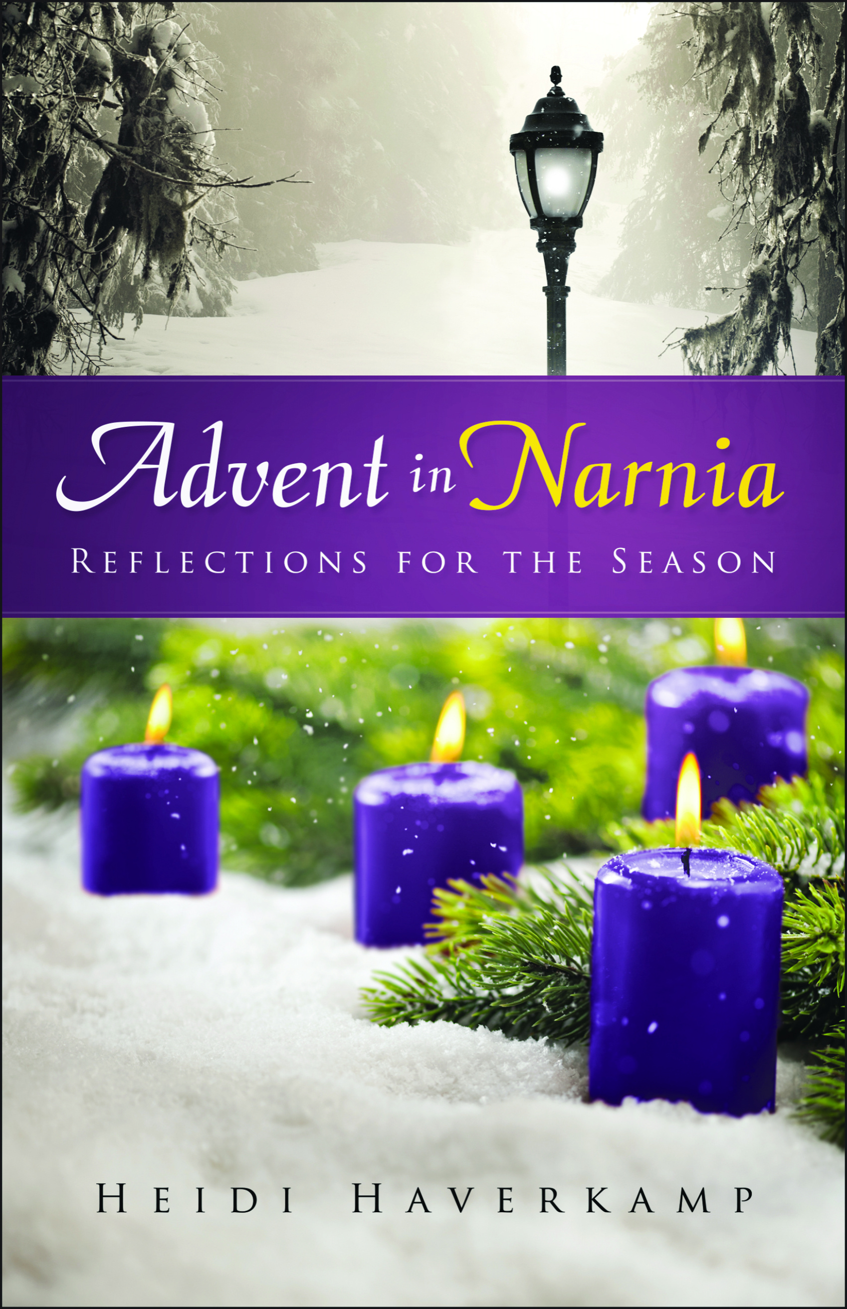 Advent in Narnia By Heidi Haverkamp (Paperback) 9780664261795