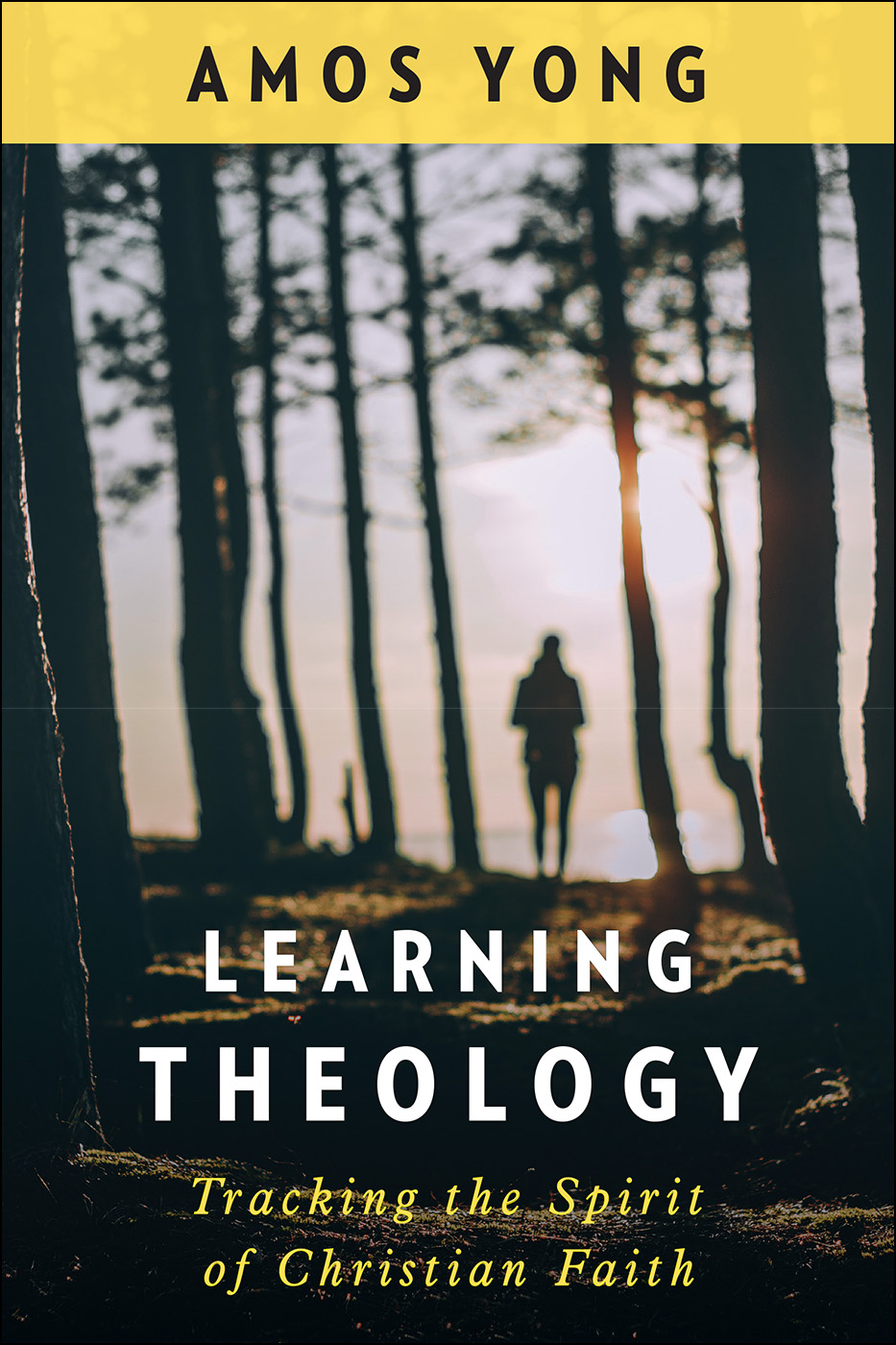 Learning Theology Tracking the Spirit of Christian Faith By Yong Amos