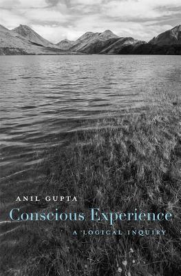 Conscious Experience By Anil Gupta (Hardback) 9780674987784