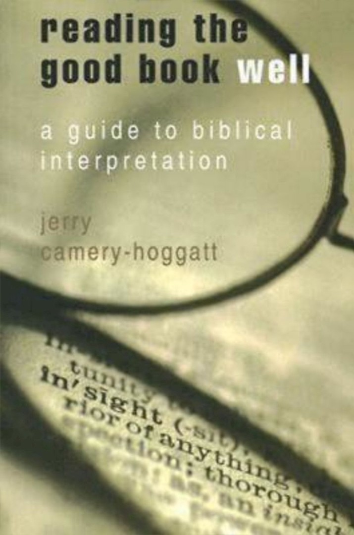 Reading The Good Book Well By Jerry Camery-Hoggatt (Paperback)