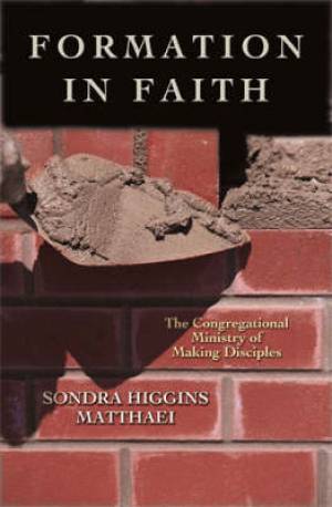 Formation in Faith By Sondra Higgins Matthaei (Paperback)