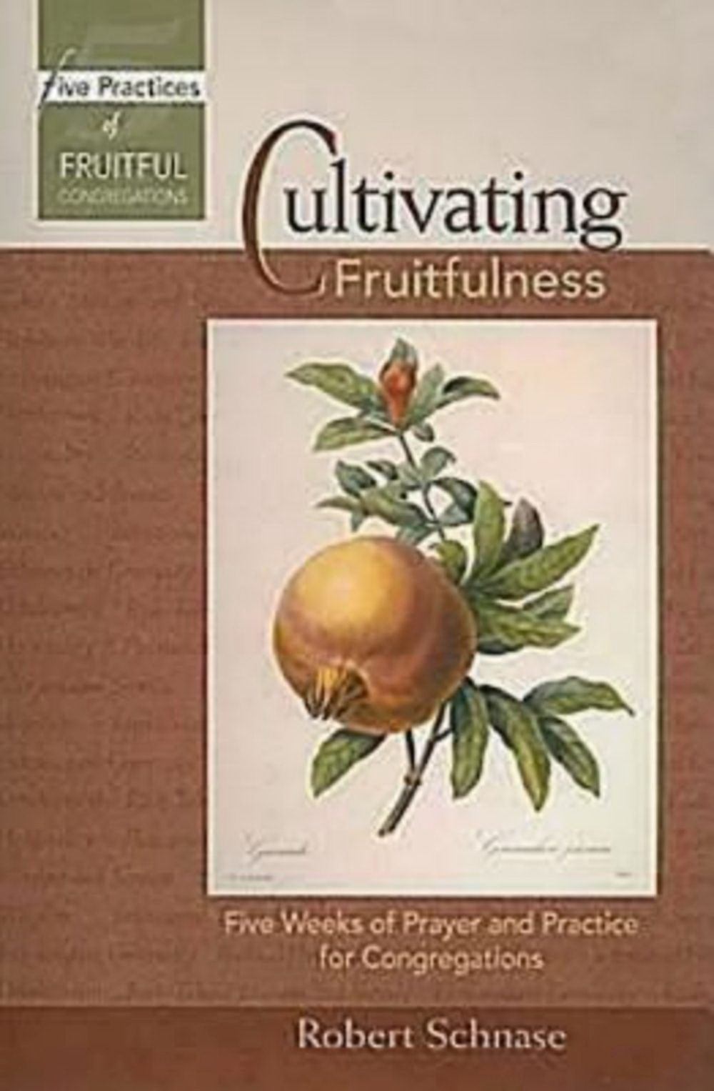 Cultivating Fruitfulness By Robert C Schnase (Paperback) 9780687654338