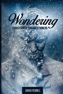 Wondering Christianity for Questioners By Feddes David (Paperback)