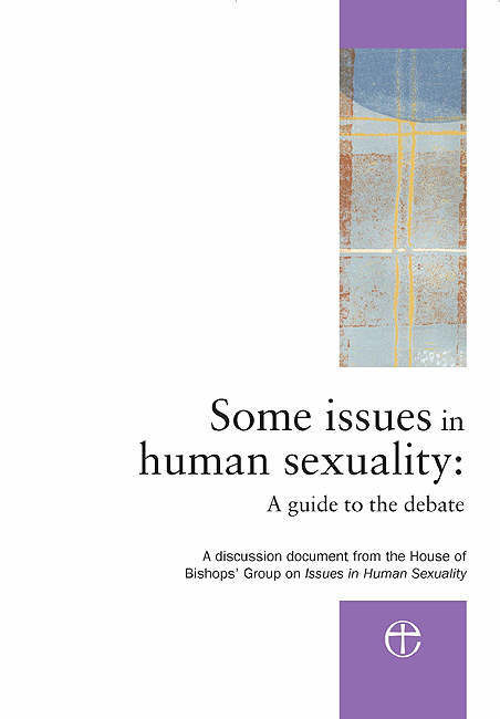 Some Issues in Human Sexuality A Guide to the Debate (Paperback)