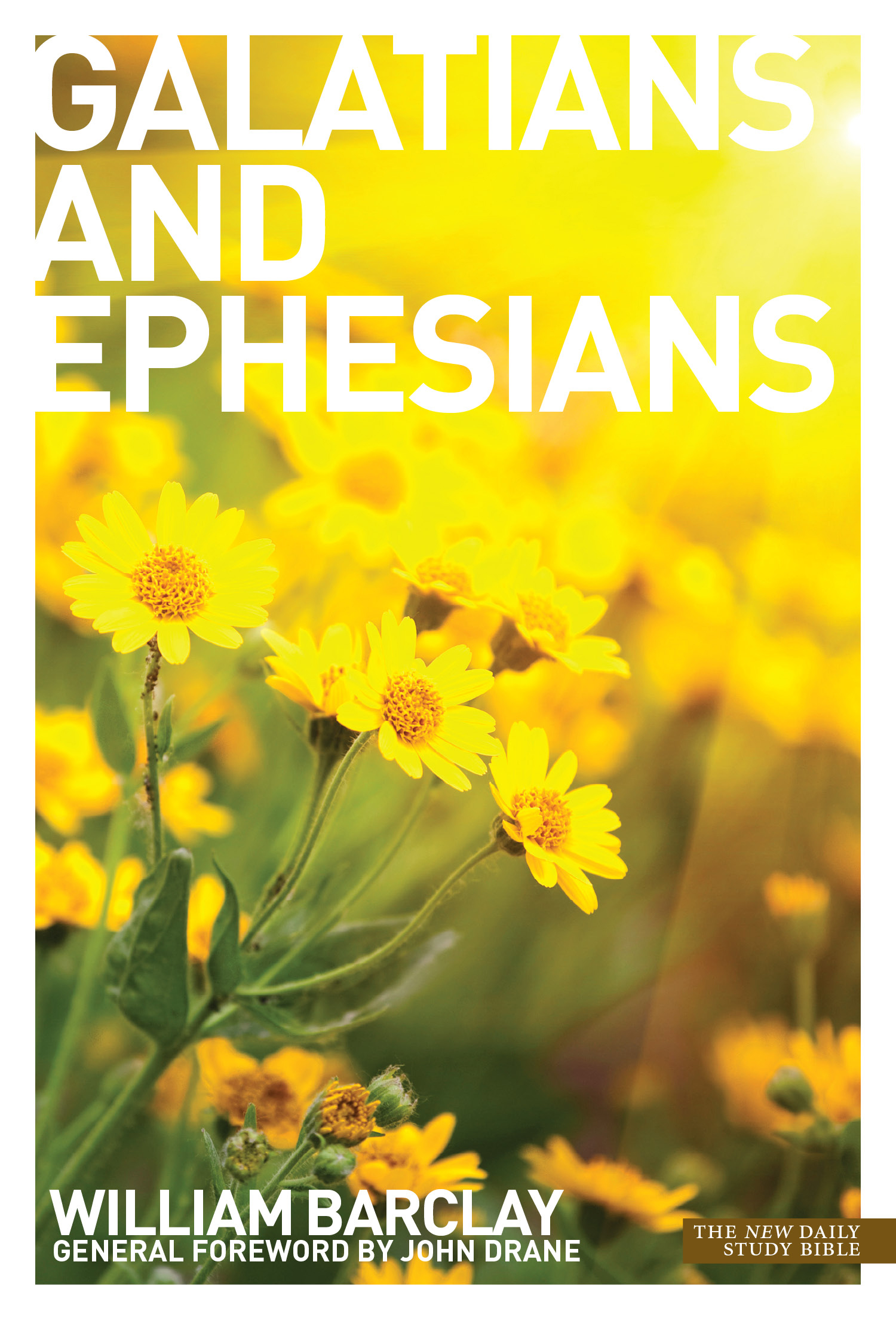 The Letters to the Galatians and Ephesians By William Barclay