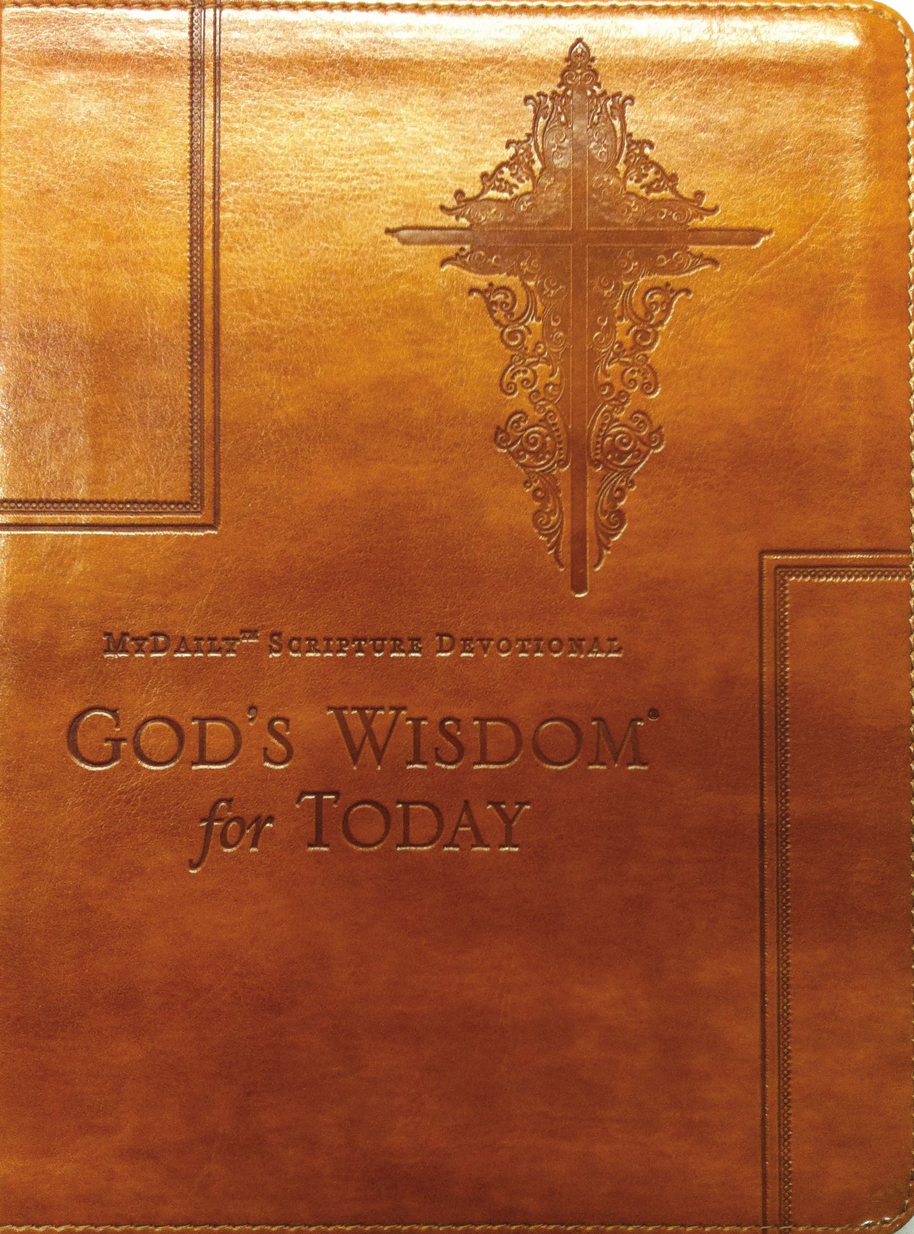 God's Wisdom for Today By Johnny Hunt (Leather) 9780718011123