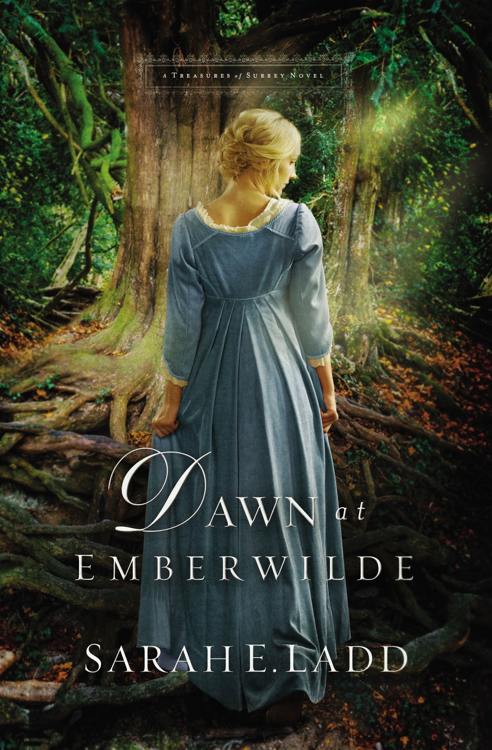 Dawn At Emberwilde By Sarah E Ladd (Paperback) 9780718011819