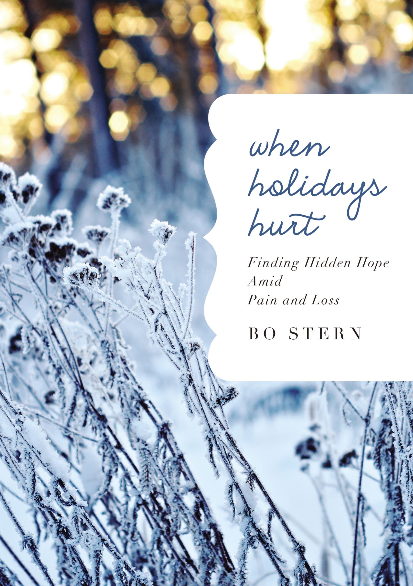 When Holidays Hurt By Bo Stern (Hardback) 9780718016203