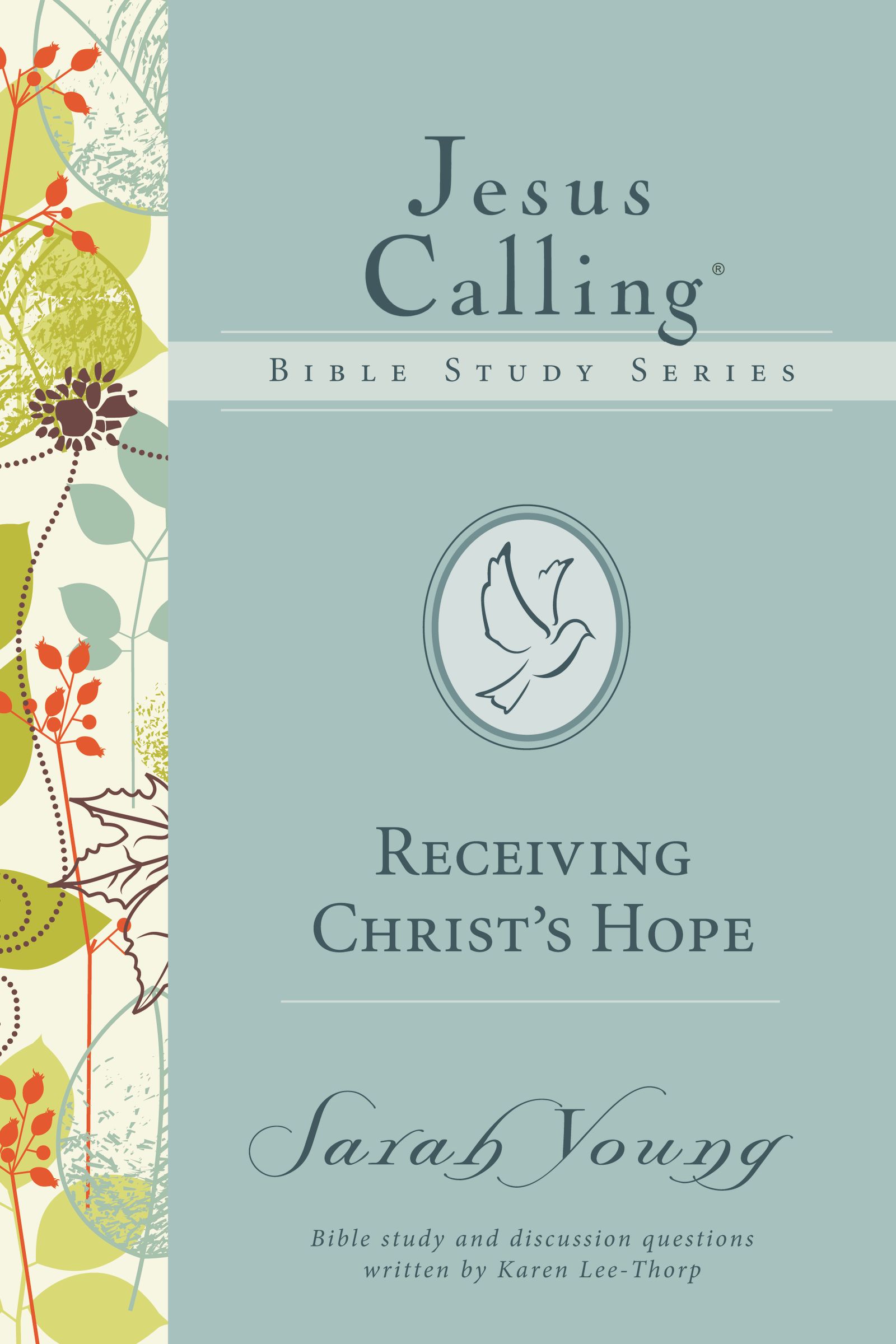 Receiving Christ's Hope By Sarah Young (Paperback) 9780718035891