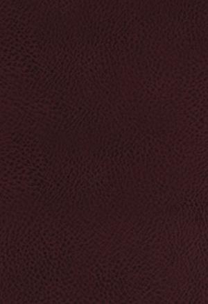 The King James Study Bible Bonded Leather Burgundy Full-Color Editi