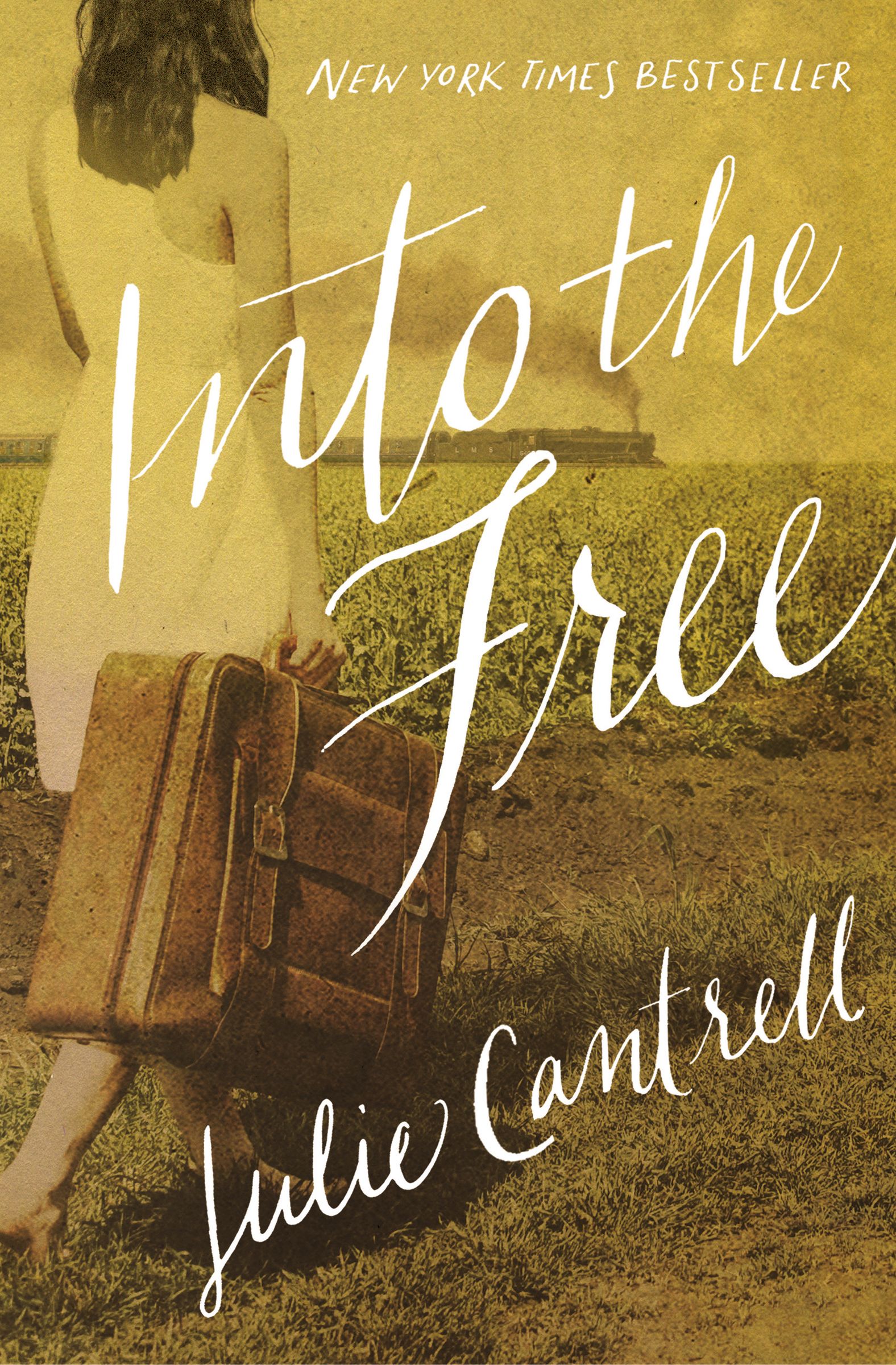 Into the Free By Julie Cantrell (Paperback) 9780718081256