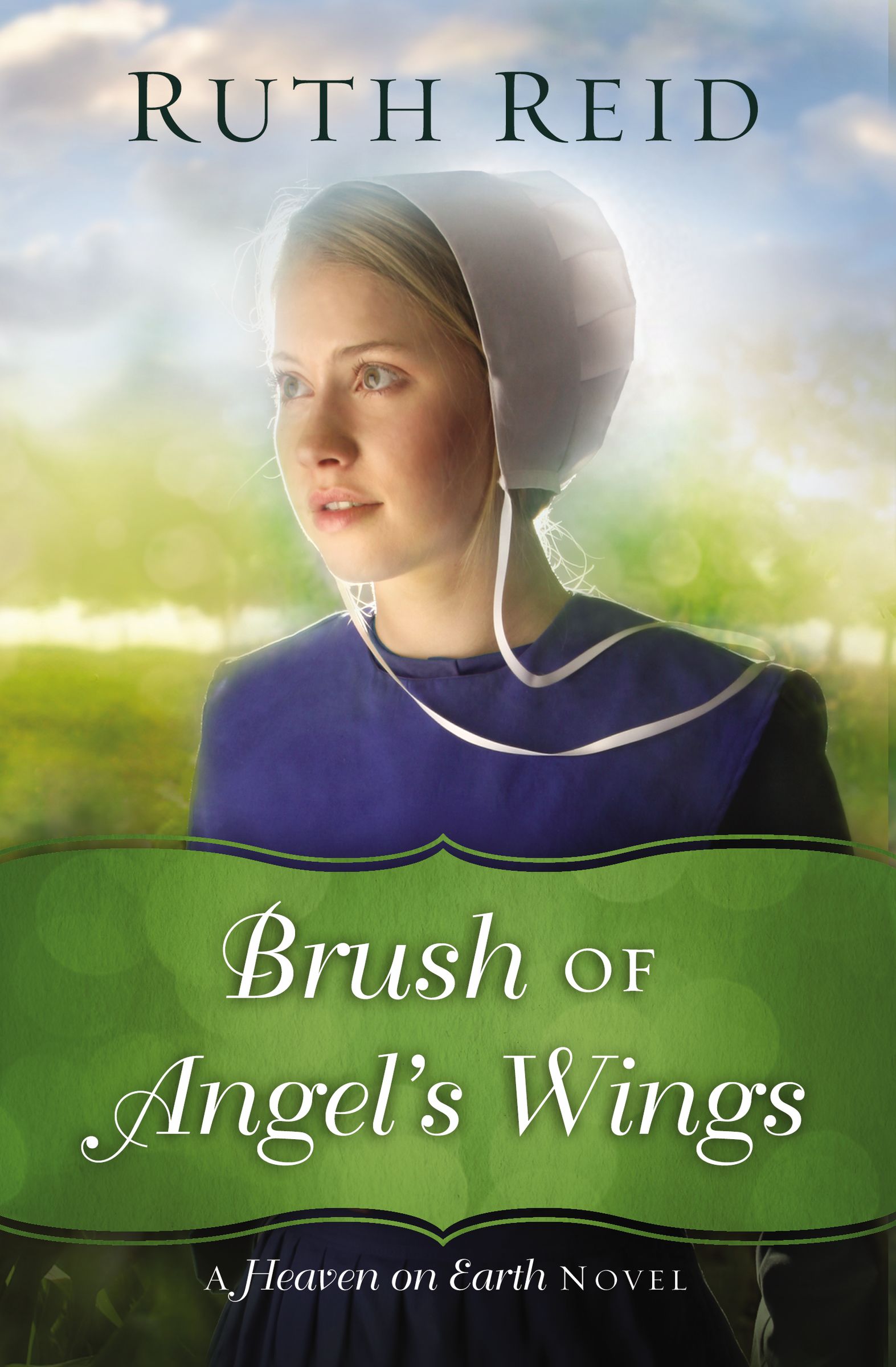 Brush of Angel's Wings By Ruth Reid (Paperback) 9780718084271