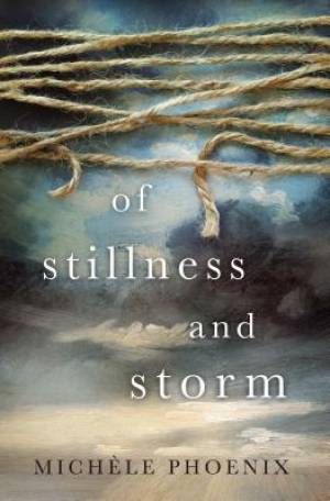 Of Stillness and Storm By Michele Phoenix (Paperback) 9780718086428