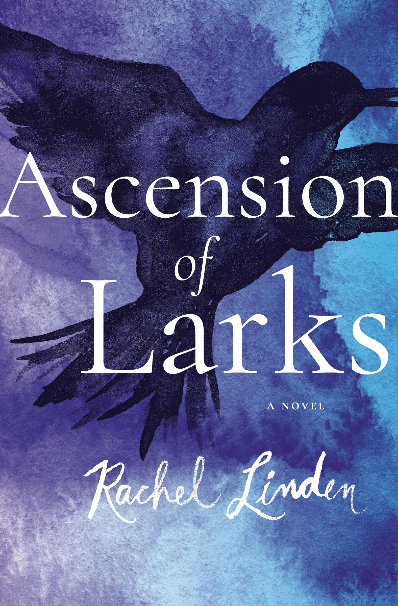 Ascension of Larks By Rachel Linden (Paperback) 9780718095734