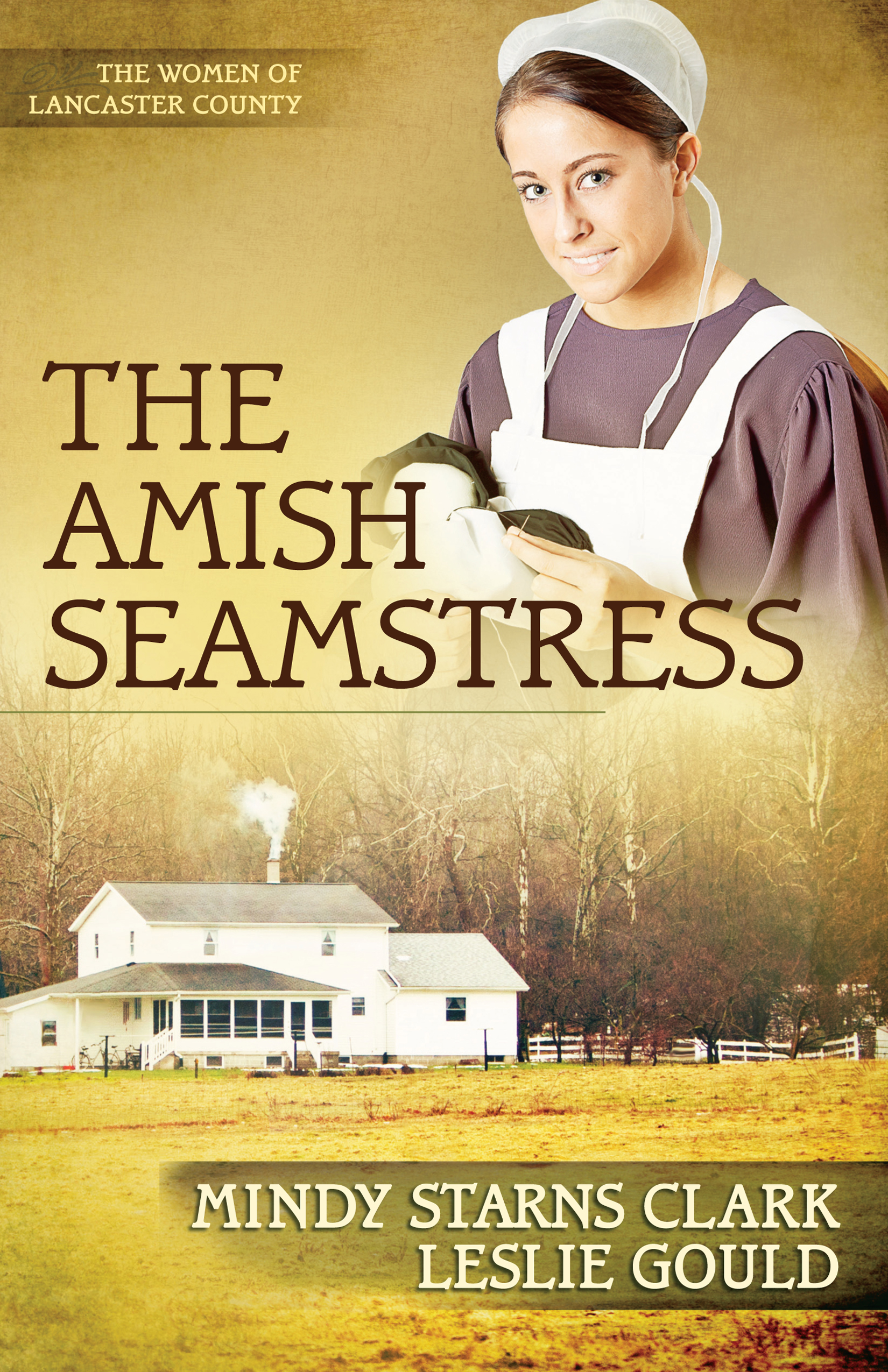 Amish Seamstress, The [eBook]