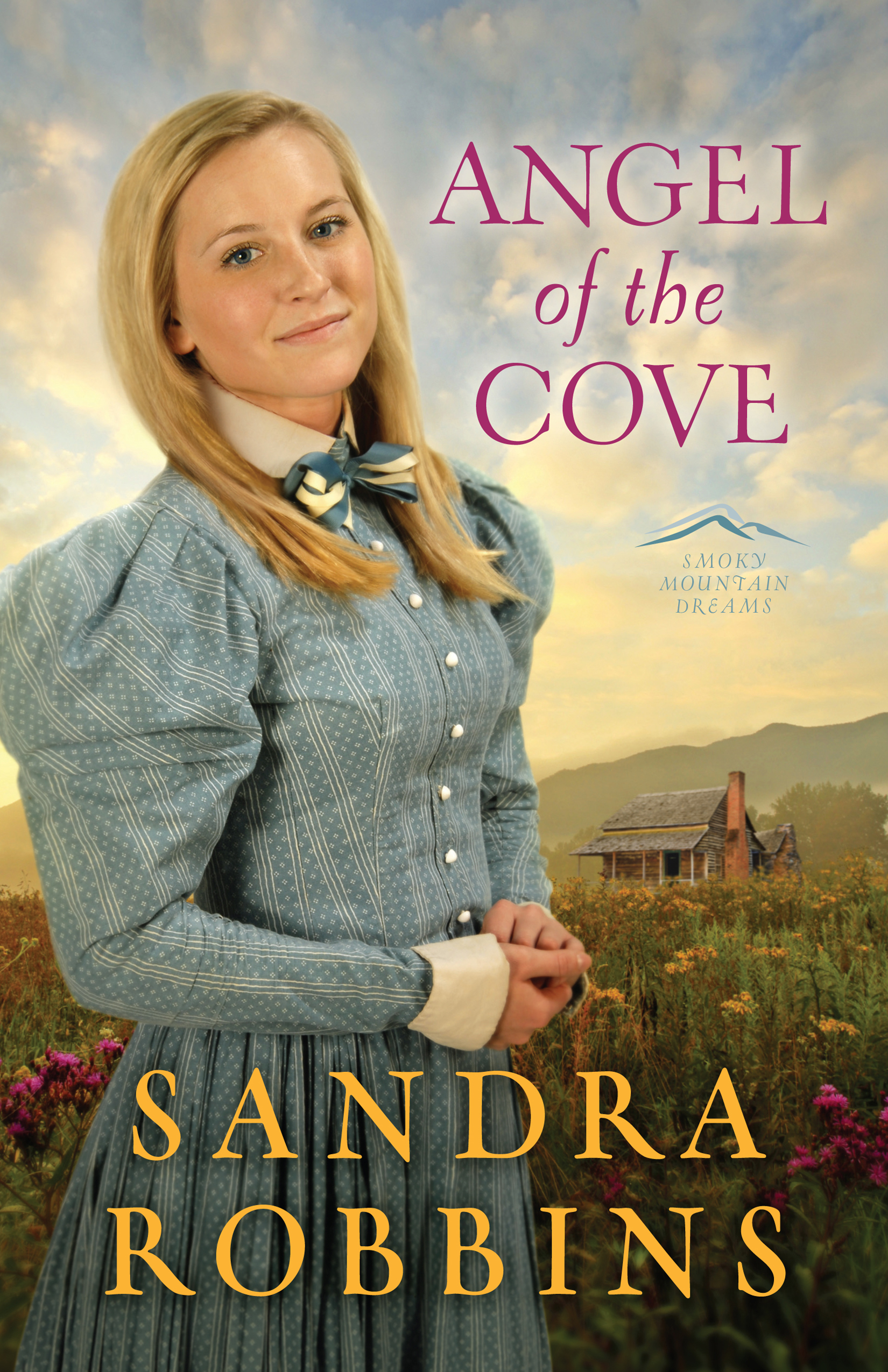 Angel of the Cove  [eBook]