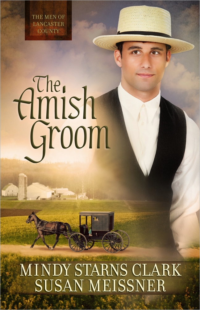 The Amish Groom By Mindy Starns Clark Susan Meissner (Paperback)