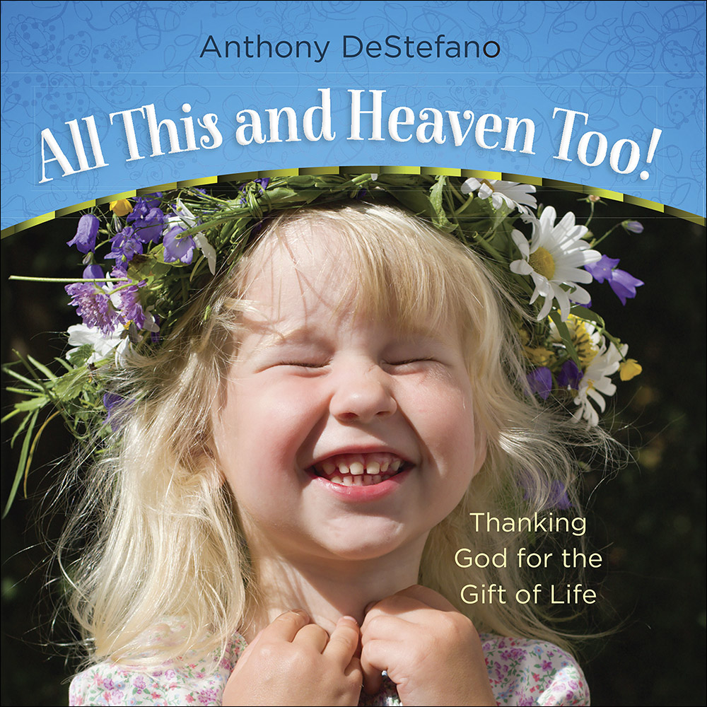 All This and Heaven Too By Destefano Anthony (Hardback) 9780736964753