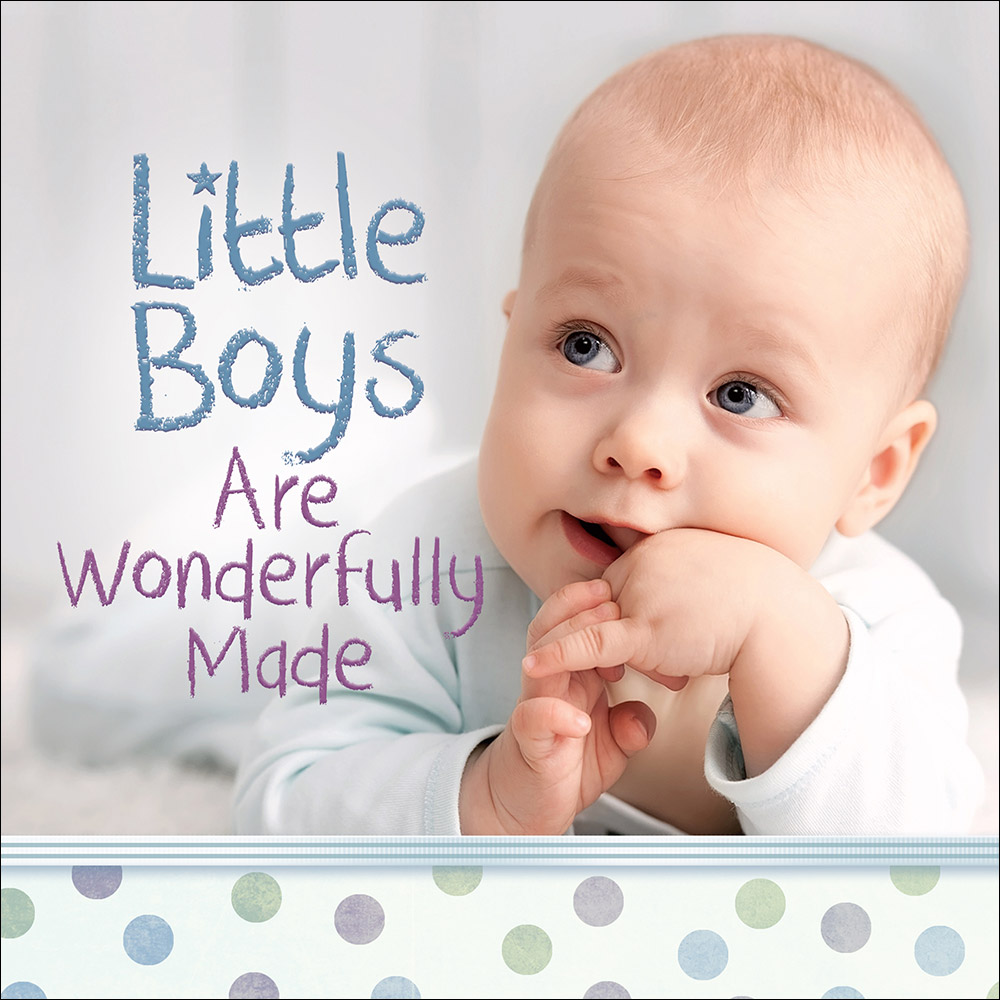 Little Boys Are Wonderfully Made By Harvest House Publishers