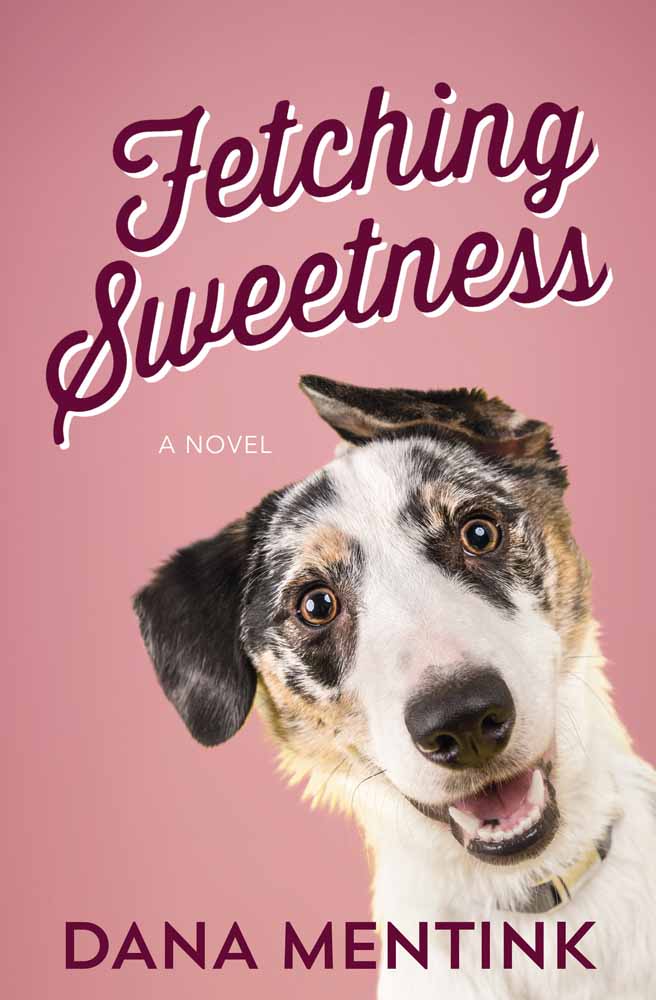 Fetching Sweetness By Mentink Dana (Paperback) 9780736966238