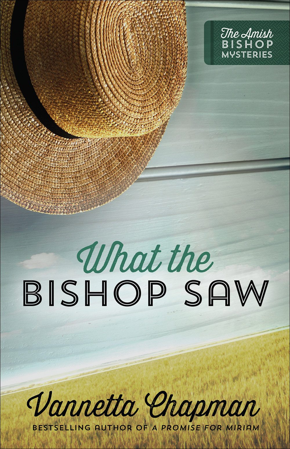 What The Bishop Saw By Chapman Vannetta (Paperback) 9780736966474