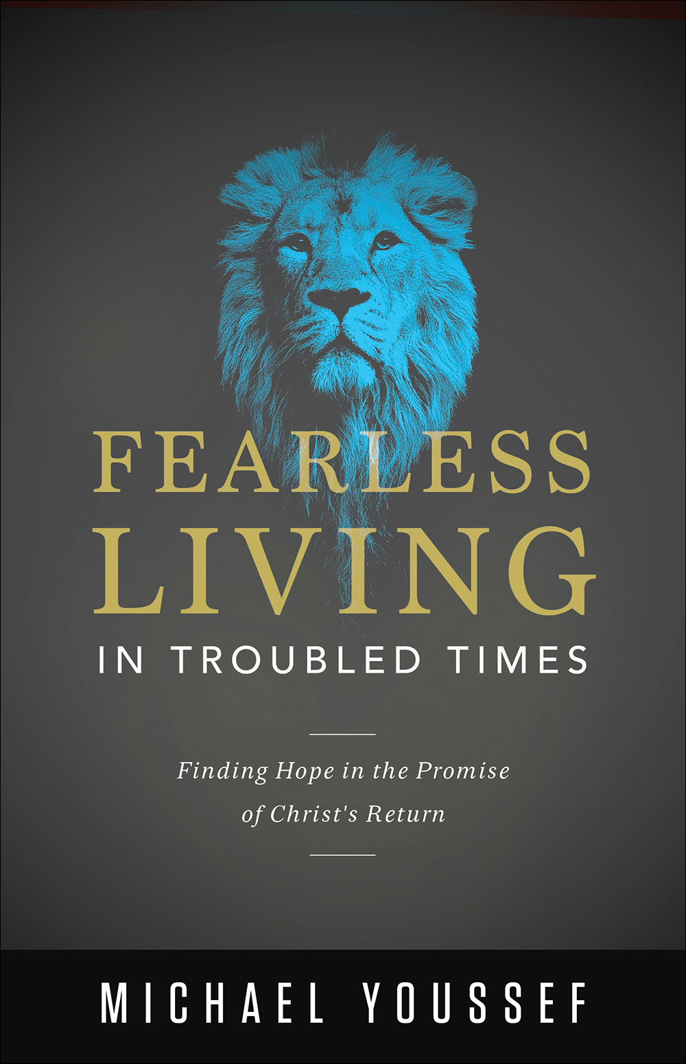 Fearless Living in Troubled Times By Youssef Michael (Paperback)