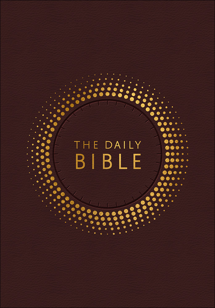 NIV Daily Bible Brown Imitation Leather Chronological 365 Daily Re