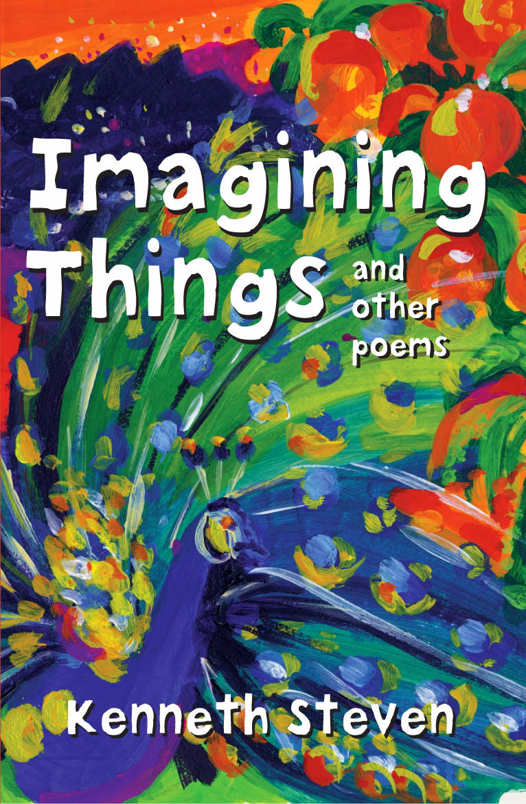 Imagining Things By Kenneth Steven (Paperback) 9780745949079