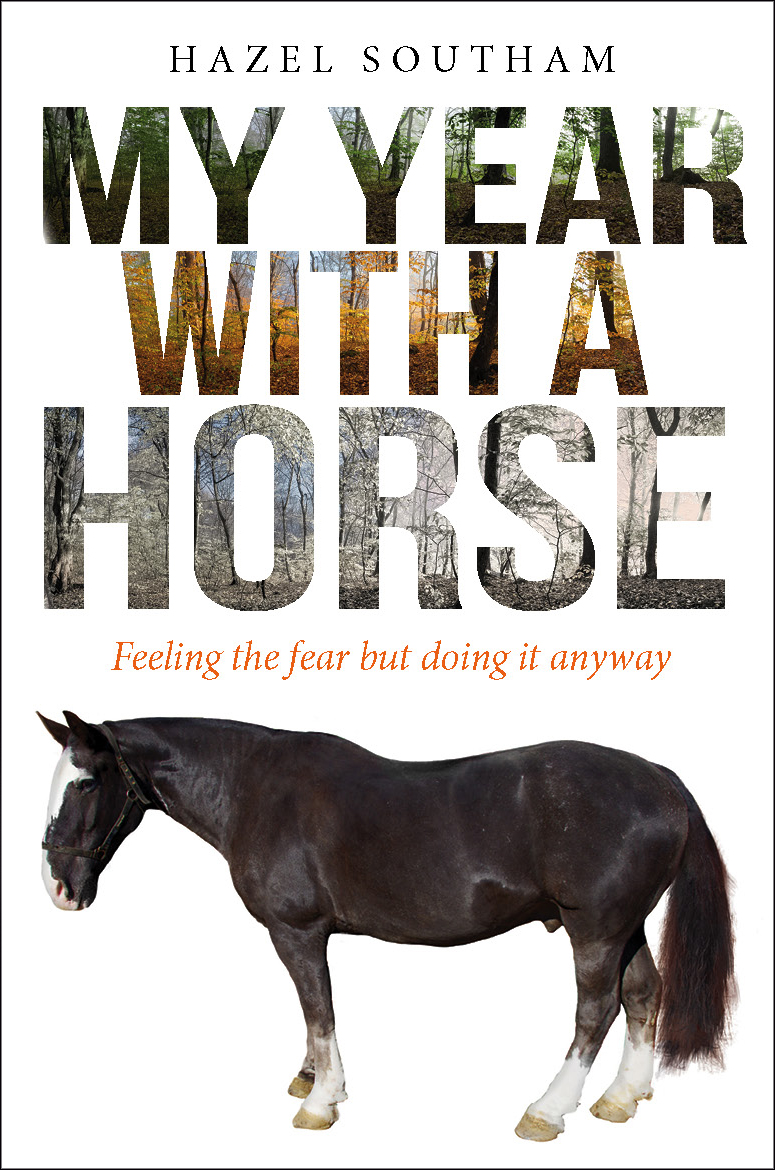 My Year With A Horse By Hazel Southam (Paperback) 9780745968490