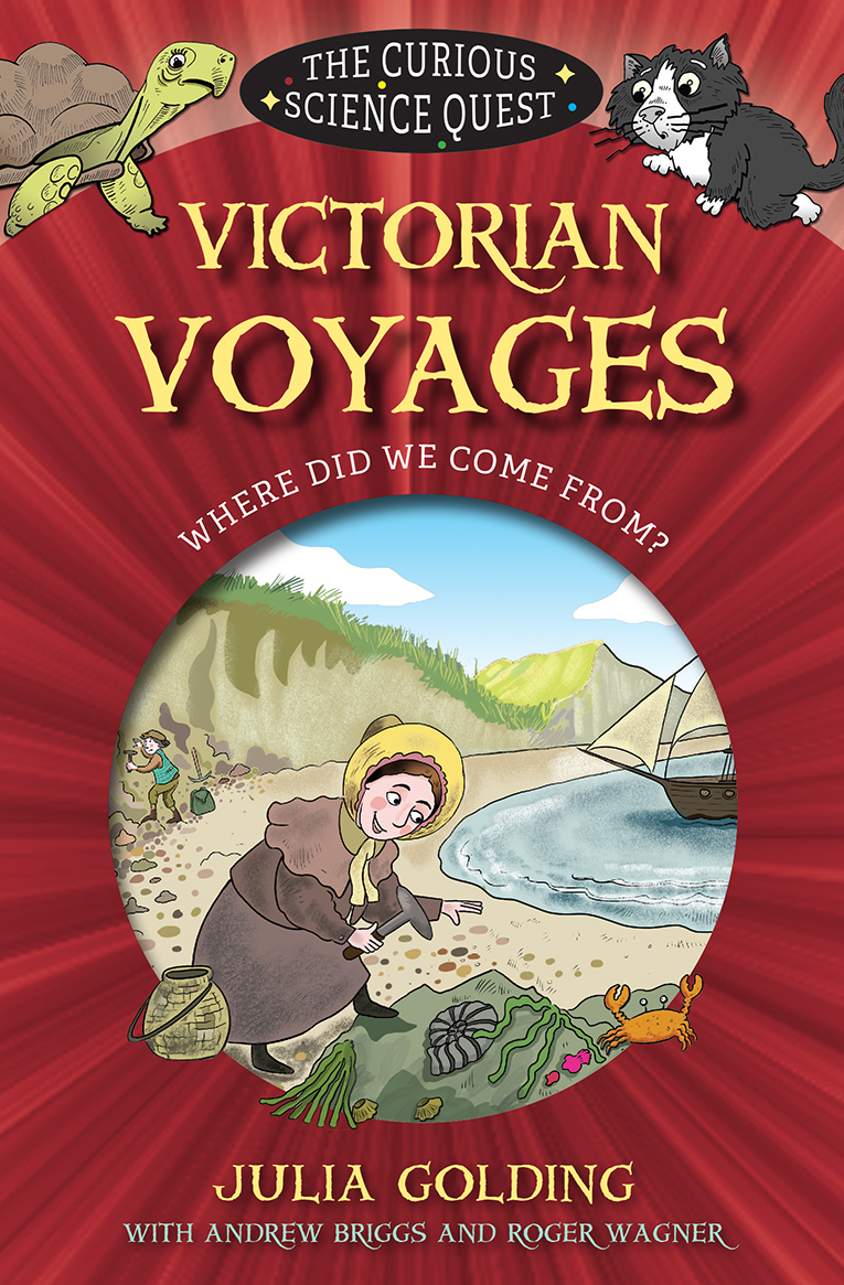 Victorian Voyages By Julia Golding (Paperback) 9780745977546