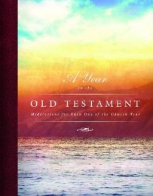 Year In The Old Testament A By Jeffrey H Pulse (Paperback)