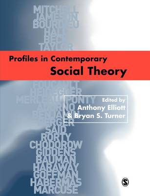 Profiles in Contemporary Social Theory (Paperback) 9780761965893