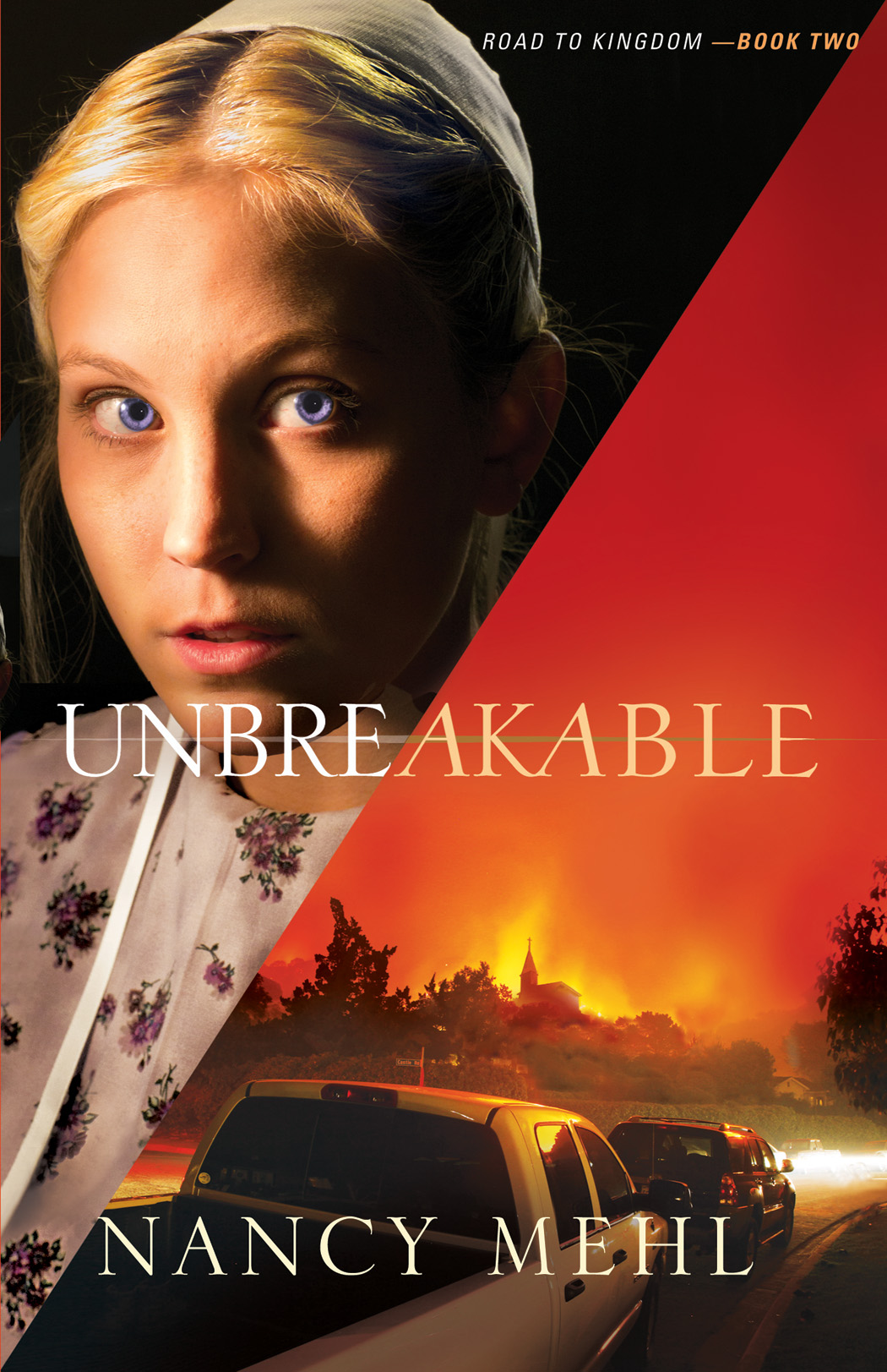 Unbreakable By Nancy Mehl (Paperback) 9780764209284