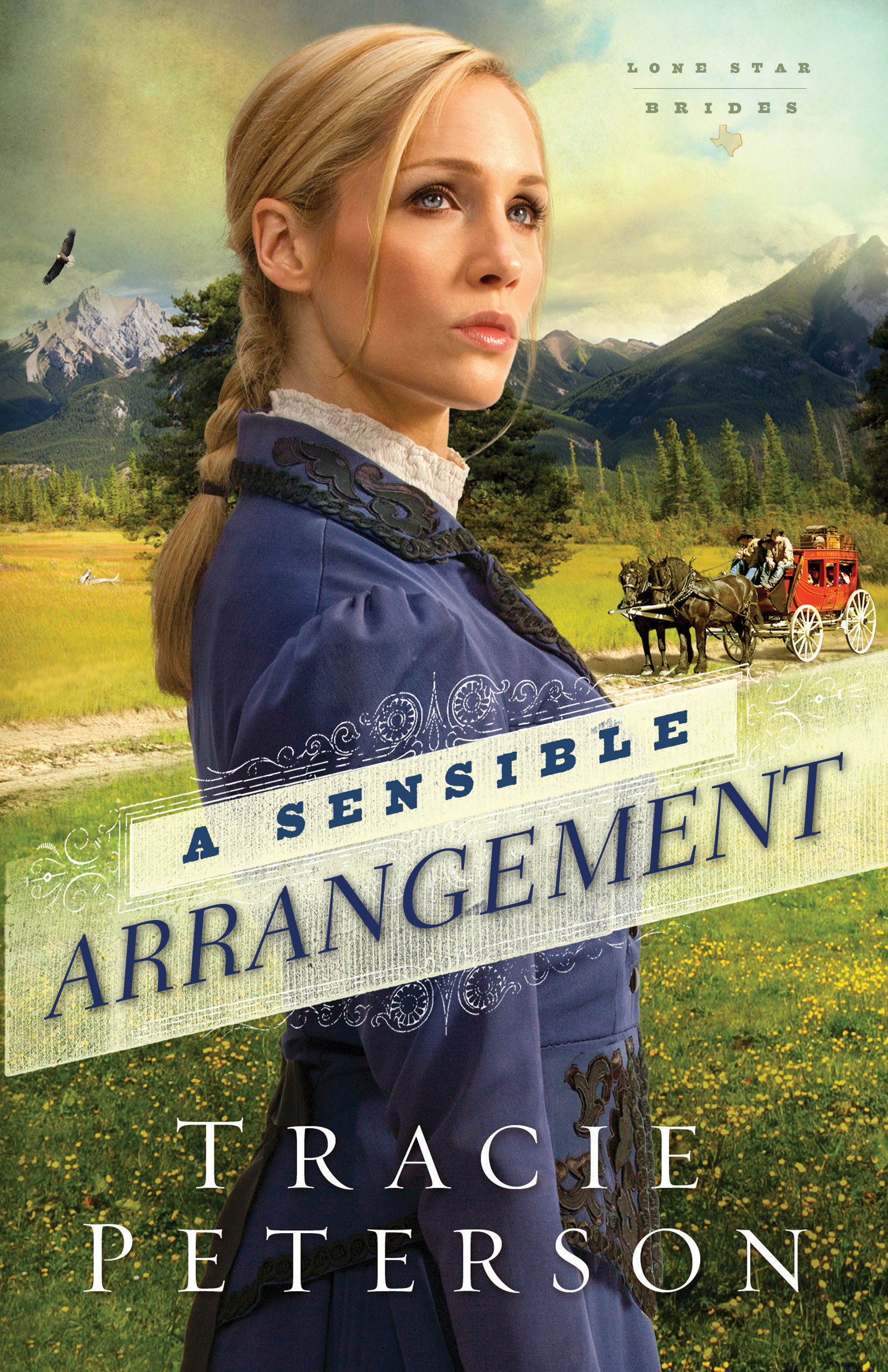 A Sensible Arrangement By Tracie Peterson (Paperback) 9780764210587