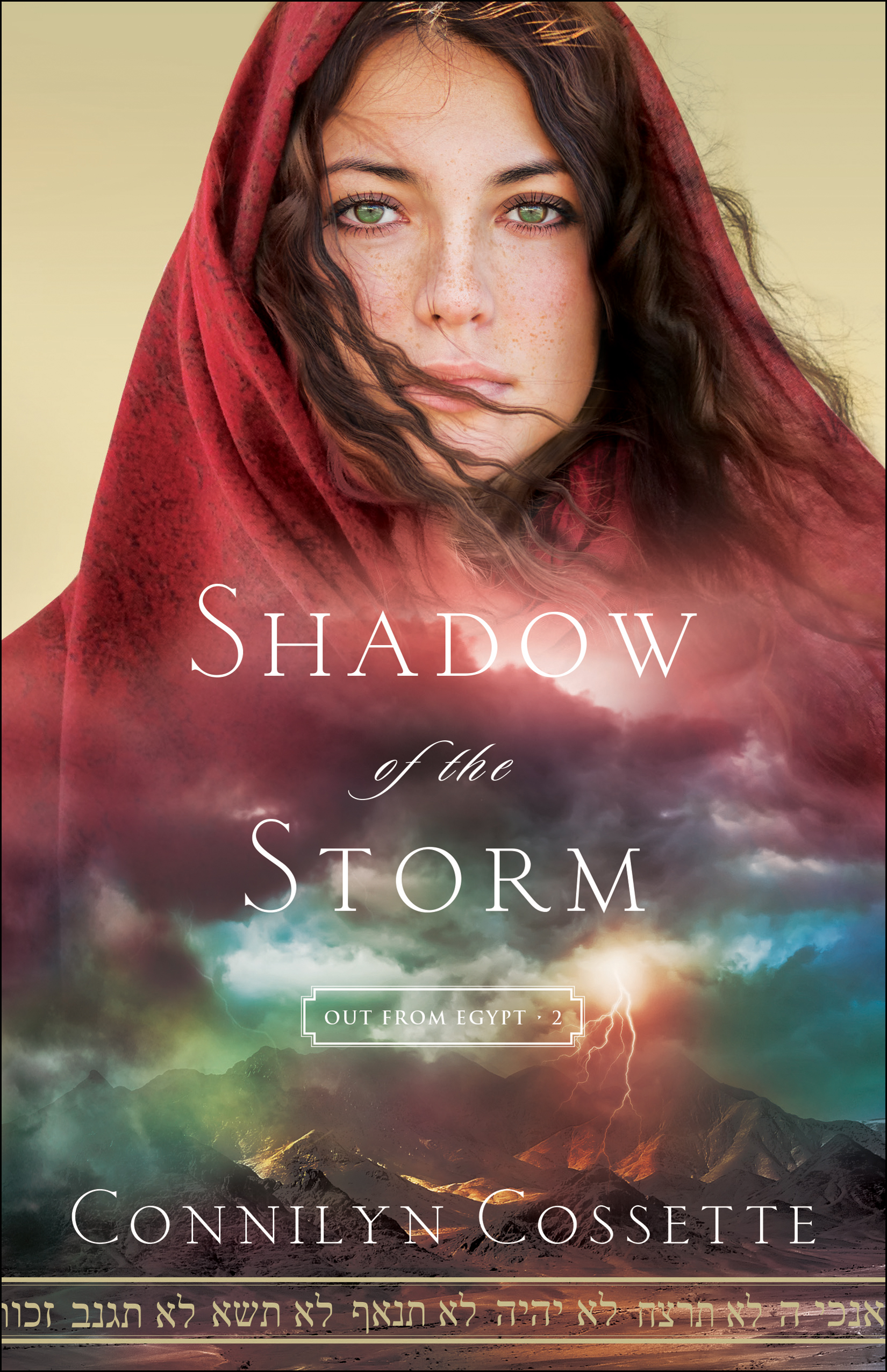 Shadow Of The Storm By Connilyn Cossette (Paperback) 9780764218217