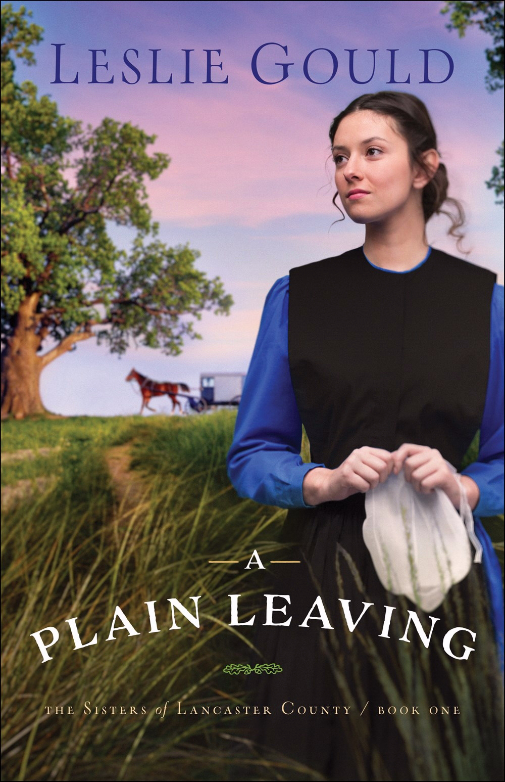 A Plain Leaving By Leslie Gould (Paperback) 9780764219696