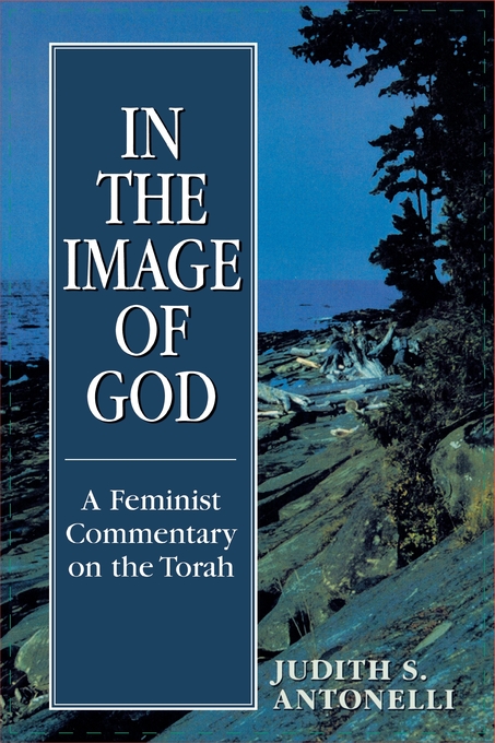 In The Image Of God By Judith S Antonelli (Paperback) 9780765799524