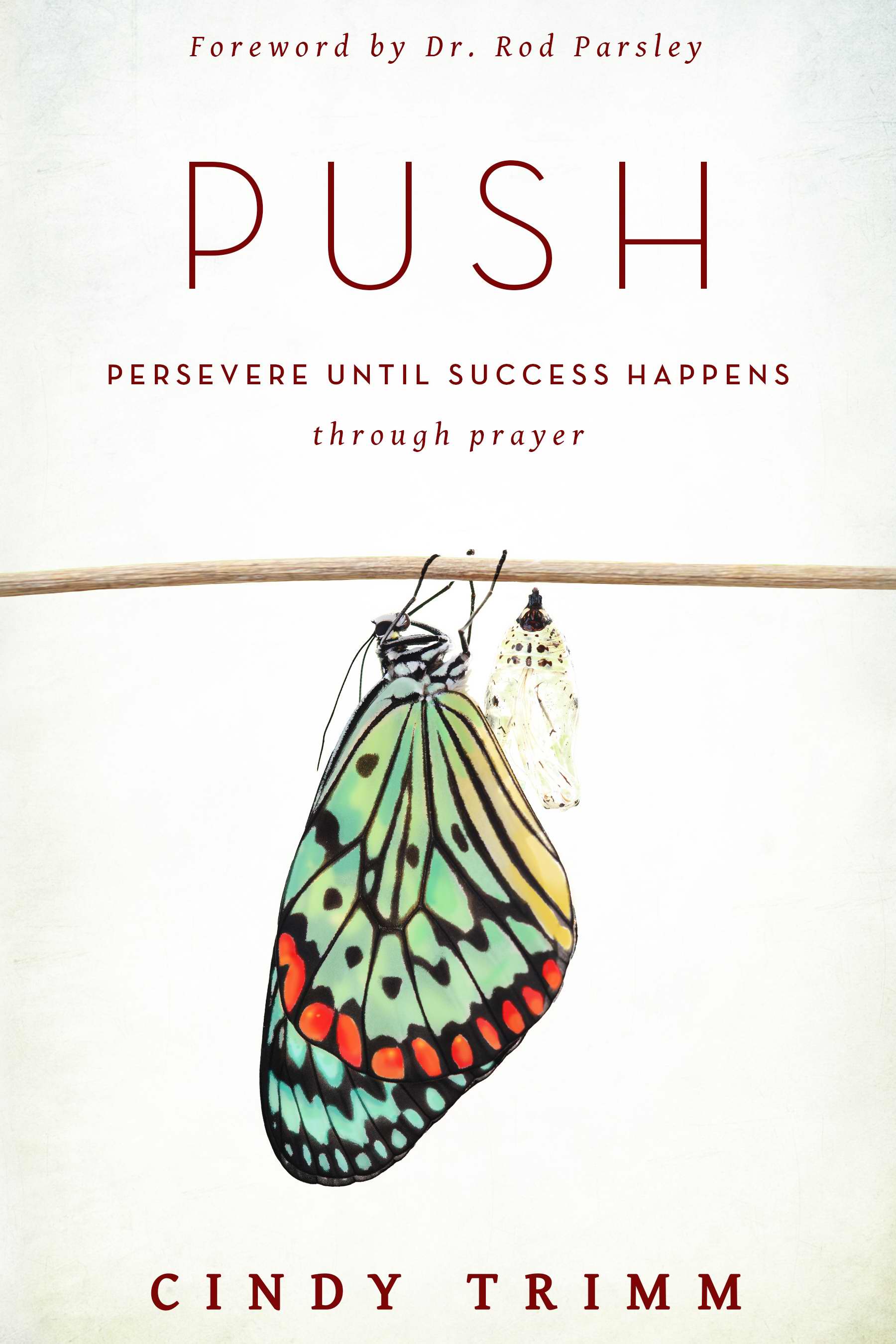 PUSH Persevere Until Success Happens Through Prayer Paperback