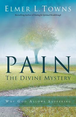 Pain The Divine Mystery Why God Allows Suffering By Towns Elmer L