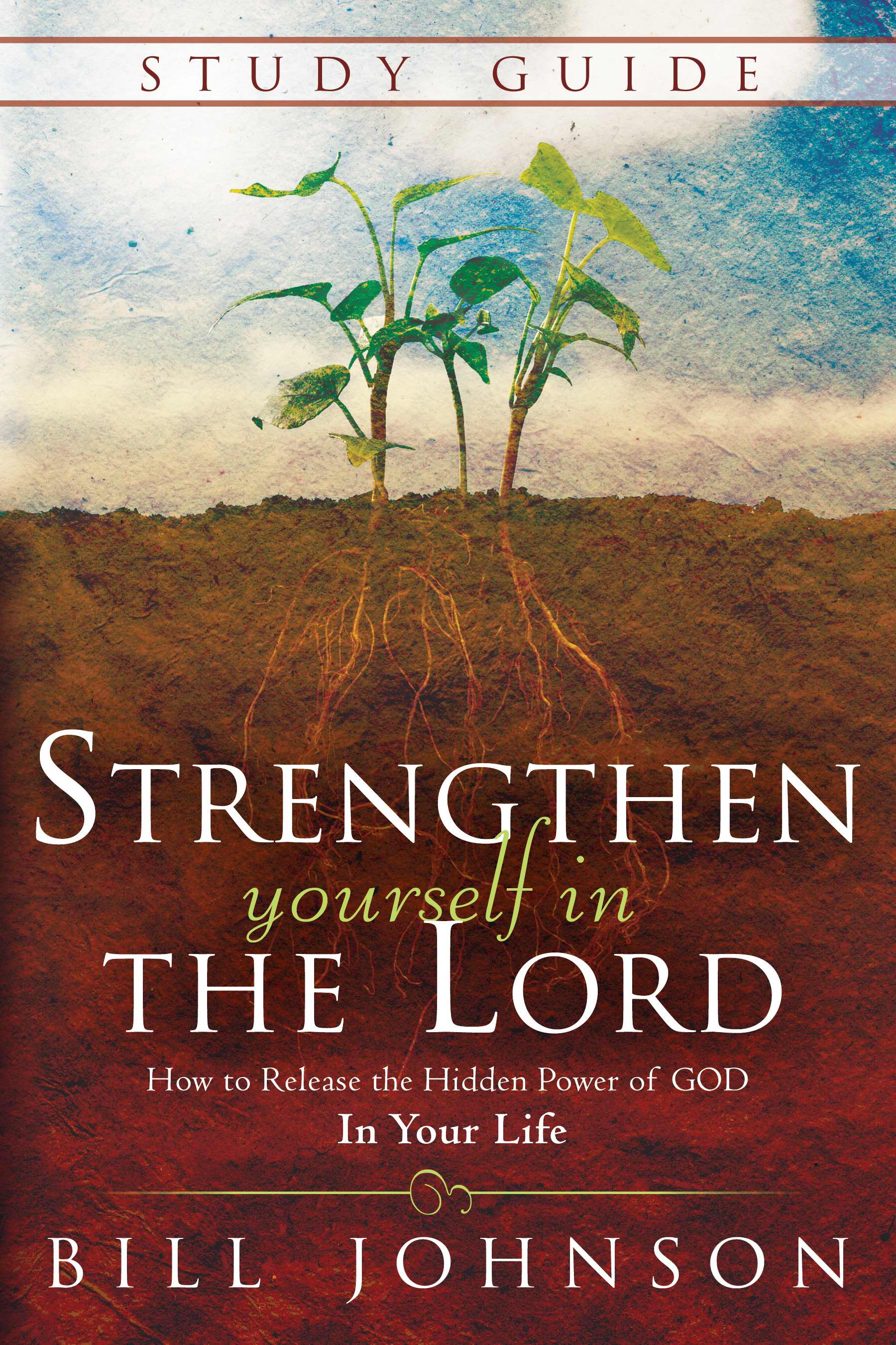 Strengthen Yourself in the Lord Study Guide By Bill Johnson