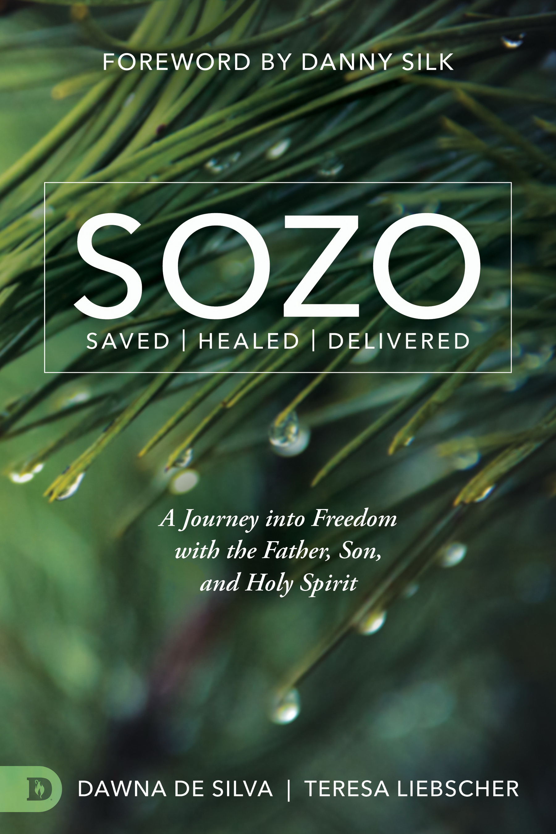 Sozo Saved Healed Delivered By Dawna Desilva Teresa Liebscher