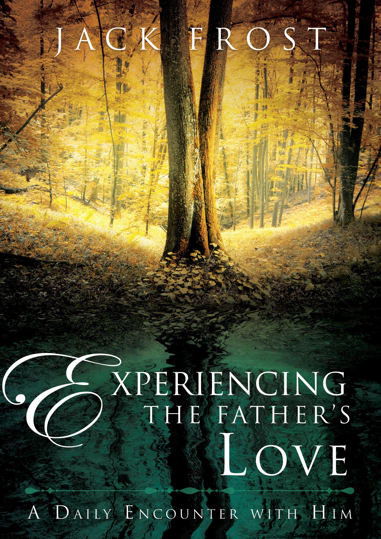 Experiencing the Father's Love By Jack Frost (Hardback) 9780768414844