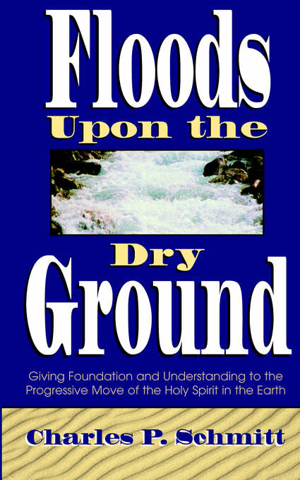 Floods Upon a Dry Ground By Charles Schmitt (Paperback) 9780768420128