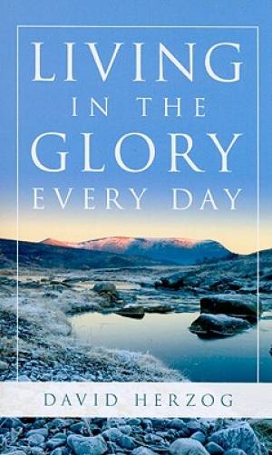 Living In The Glory Every Day By David Herzog (Paperback)