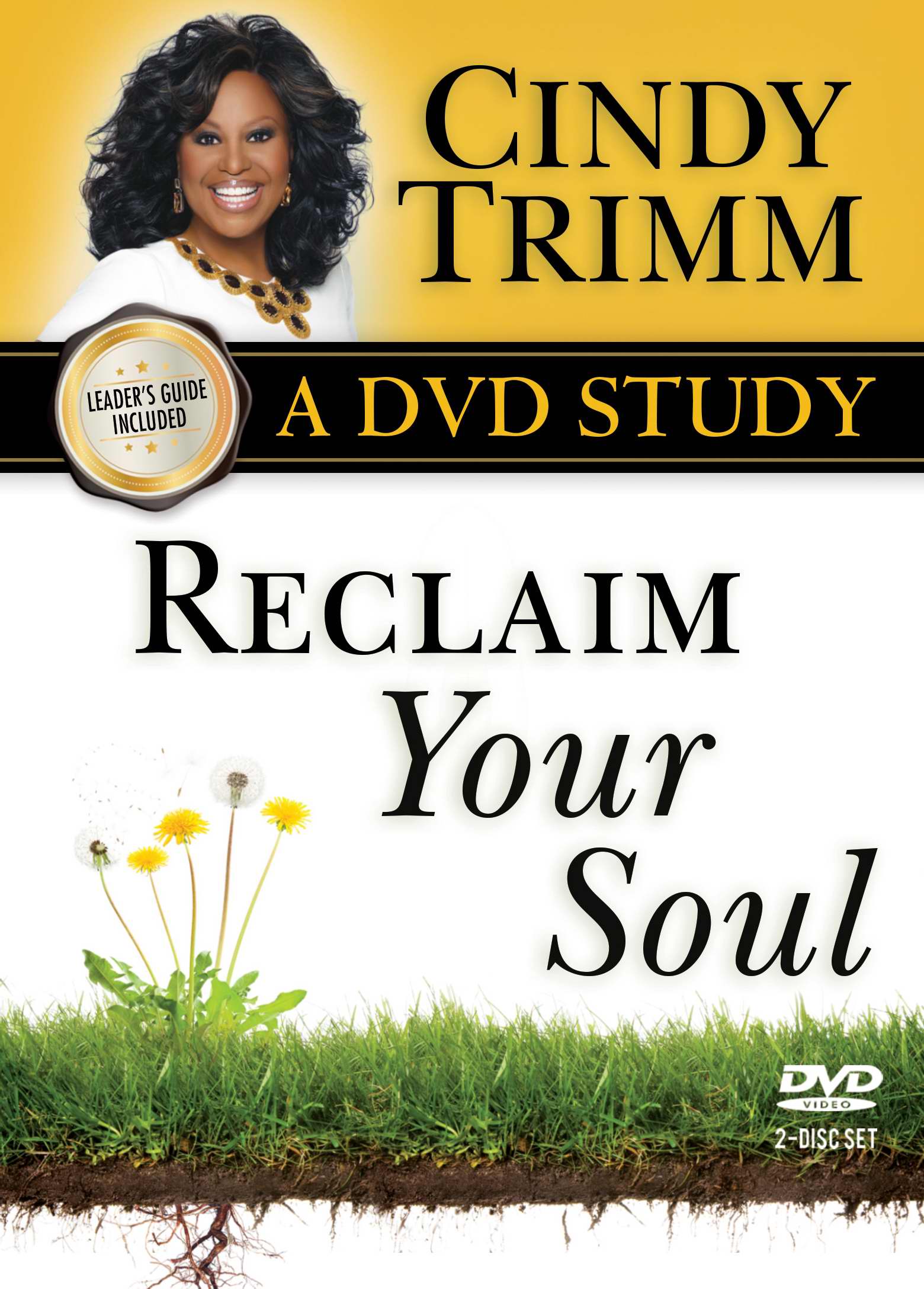 Reclaim Your Soul DVD Study