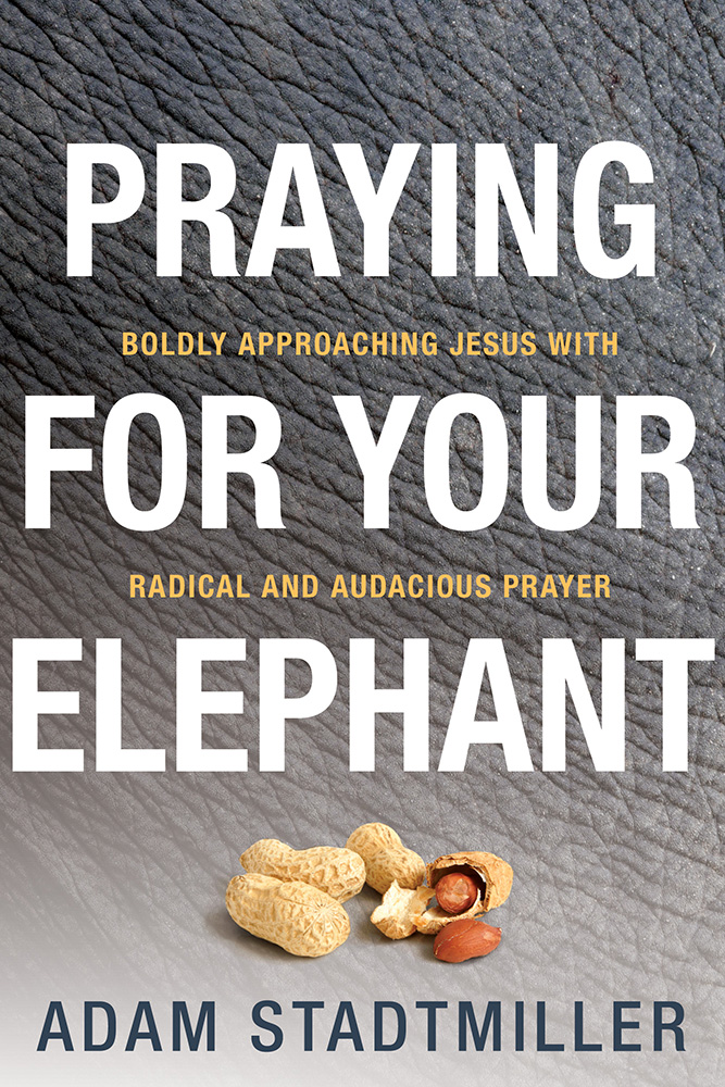 Praying for Your Elephant By Adam Stadtmiller (Paperback)