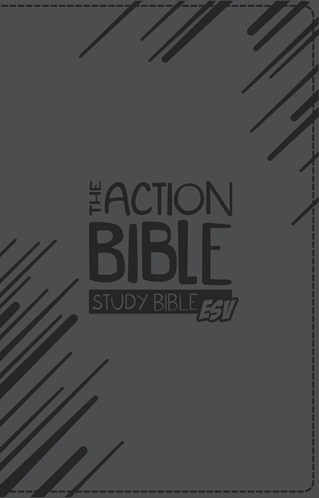 The Action Bible Study Bible ESV Slate Gray Premium Imitation Leathe