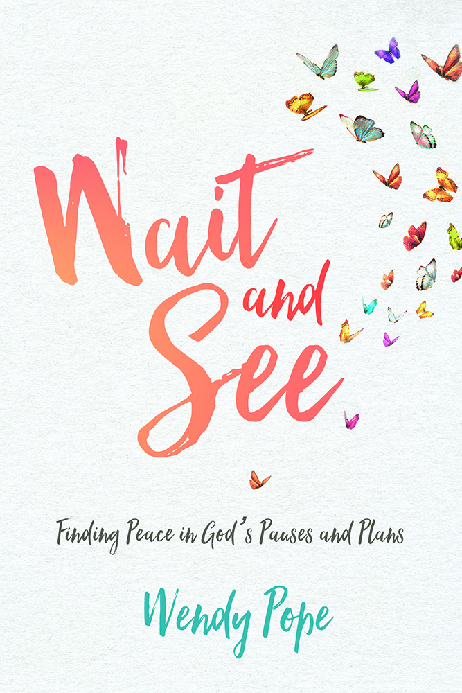 Wait and See By Wendy Pope (Paperback) 9780781413558