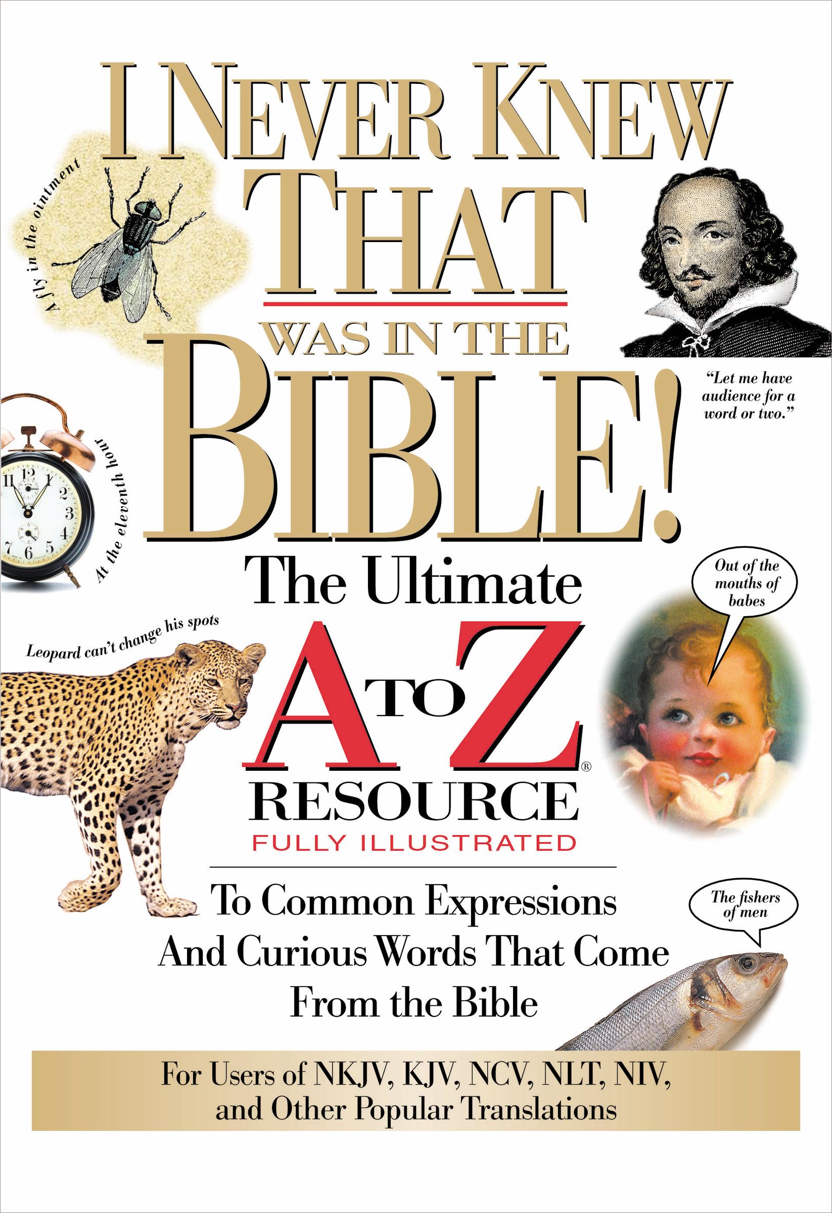 I Never Knew That Was in the Bible The Ultimate A to Z Resource to Co