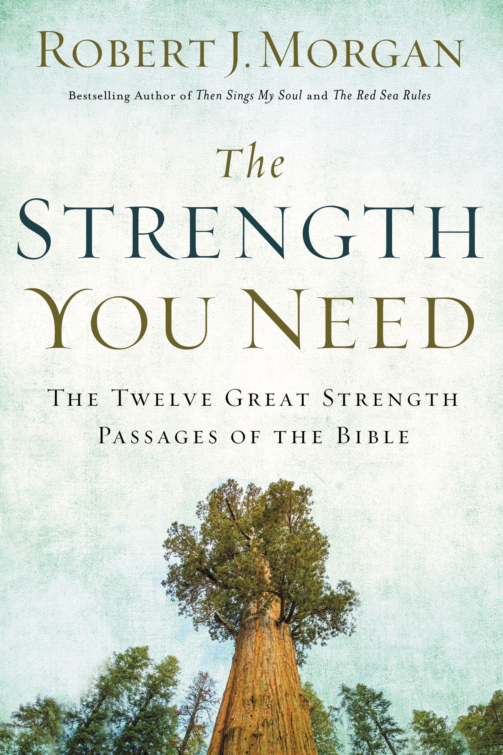 The Strength You Need By Robert J Morgan (Paperback) 9780785216360